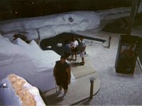 photos 2000-200900389